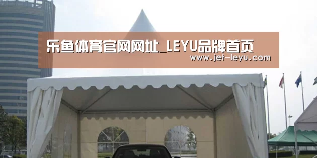 案例标题八
