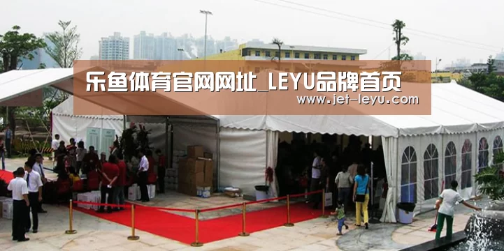案例标题一