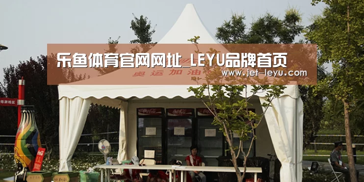 案例标题五