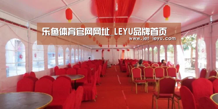 案例标题四