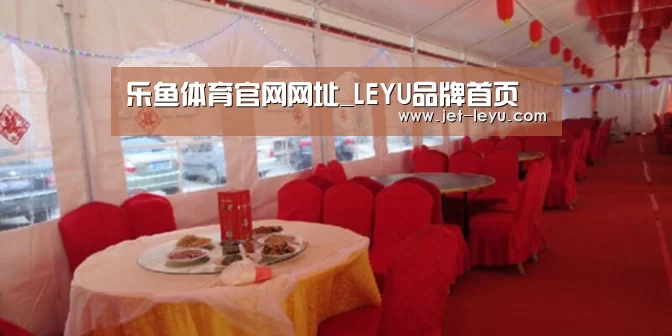 案例标题二