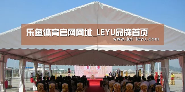案例标题三