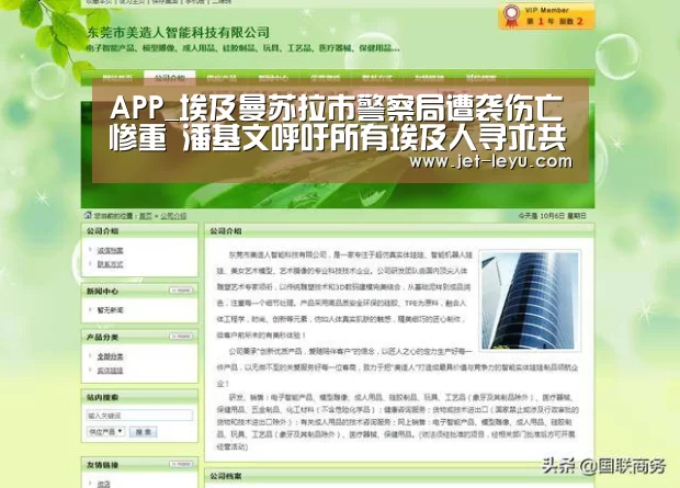 APP_埃及曼苏拉市警察局遭袭伤亡惨重 潘基文呼吁所有埃及人寻求共同点(图2)
