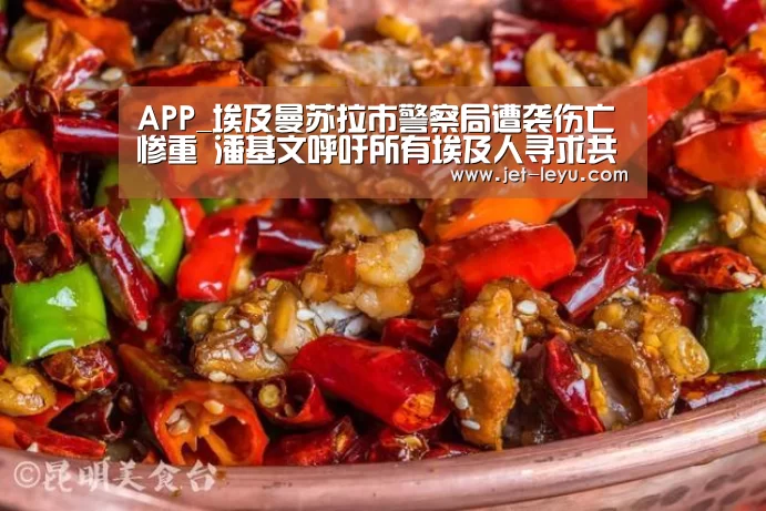 APP_埃及曼苏拉市警察局遭袭伤亡惨重 潘基文呼吁所有埃及人寻求共同点
